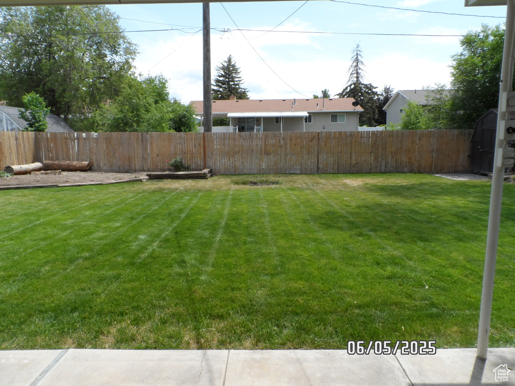 View of yard