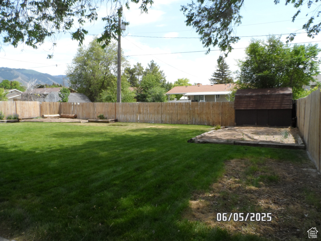View of yard