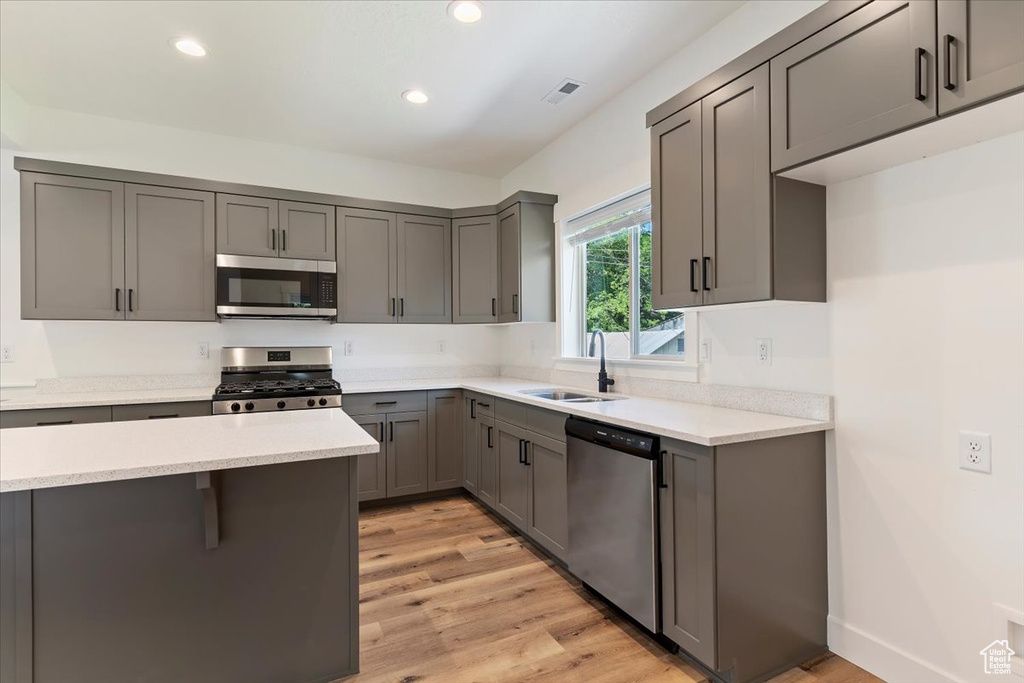 Kitchen with stainless steel appliances, a sink, gray cabinetry, and recessed lighting