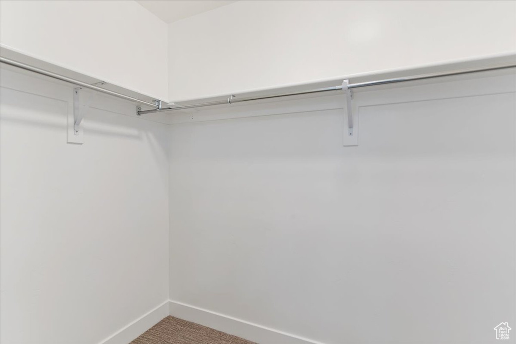 Walk in closet with carpet floors