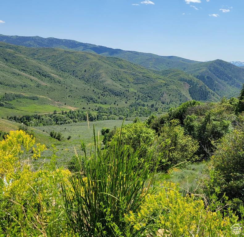 View of mountain backdrop