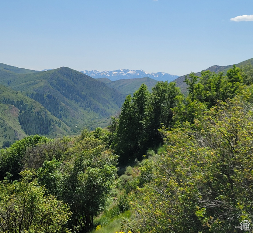 View of mountain background featuring a forest