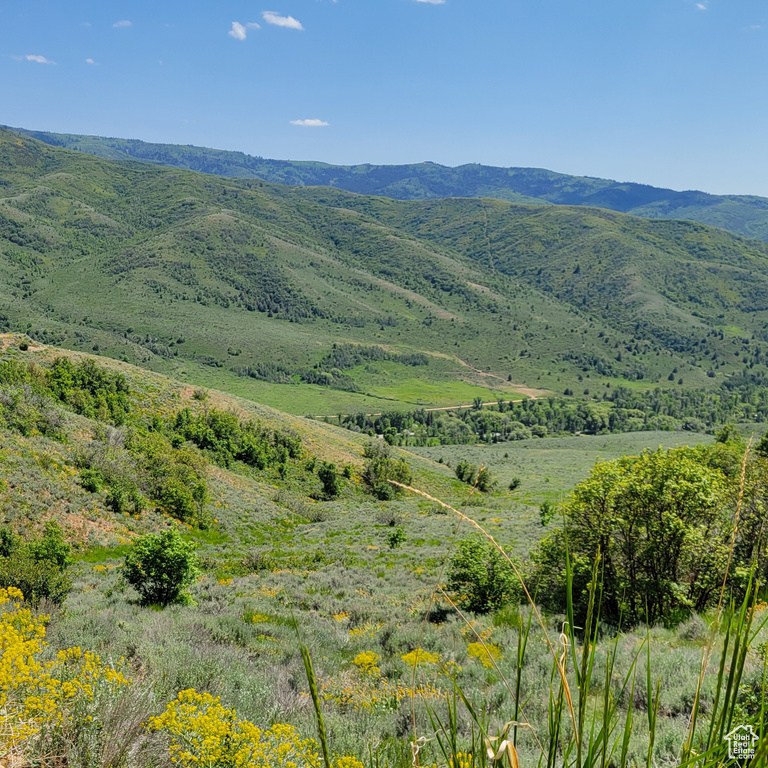 View of mountain backdrop