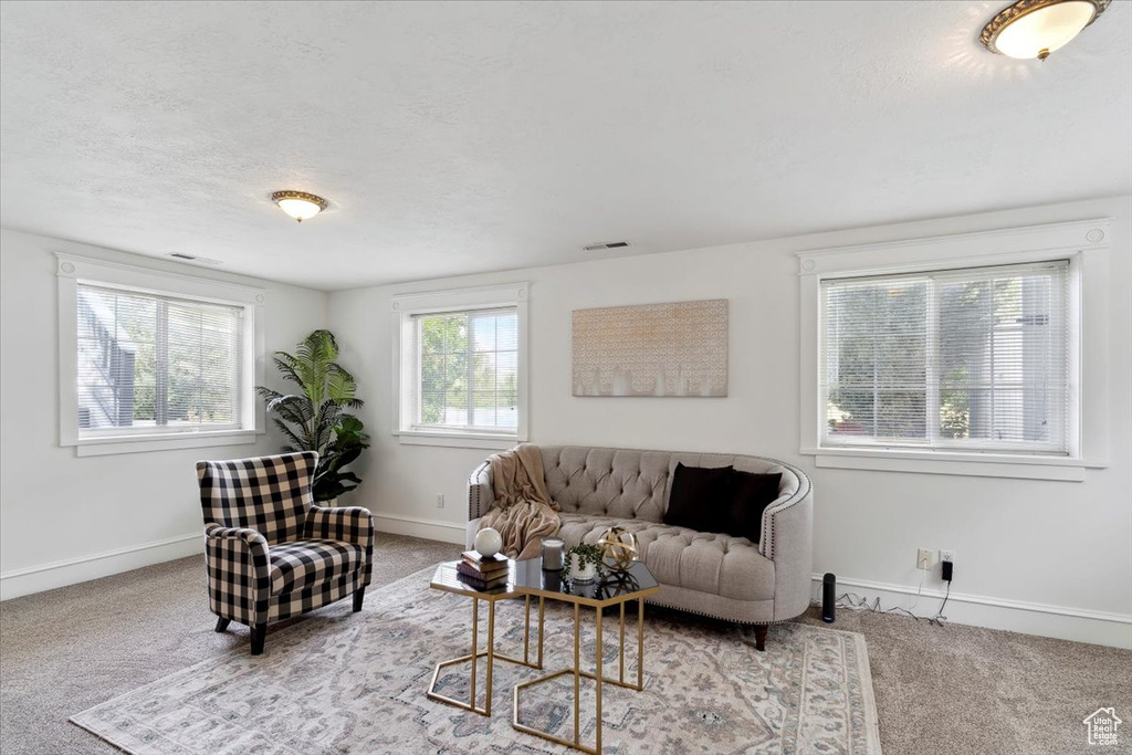 Living room with carpet, baseboards, and a textured ceiling