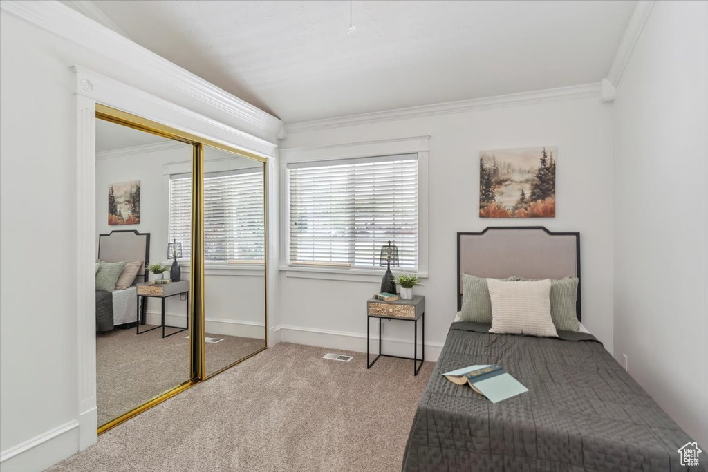 Bedroom featuring carpet flooring, ornamental molding, a closet, and baseboards