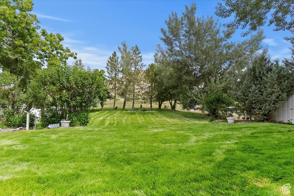 View of green lawn