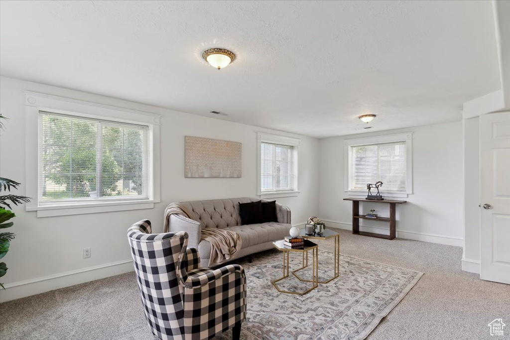 Living area with carpet, plenty of natural light, and baseboards