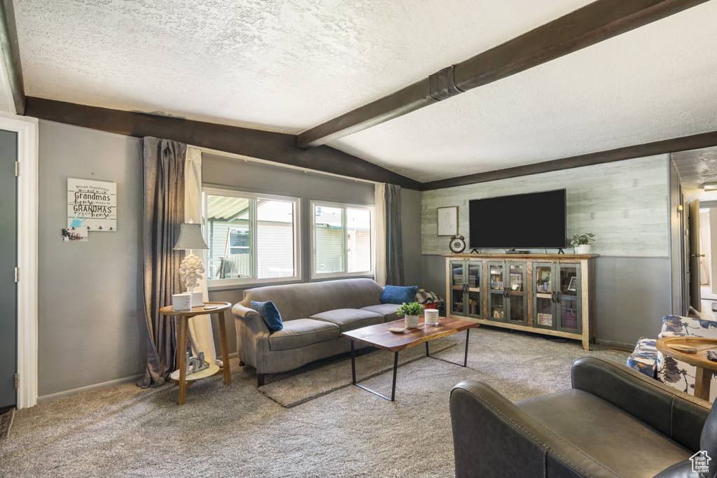 Carpeted living room with a textured ceiling and baseboards