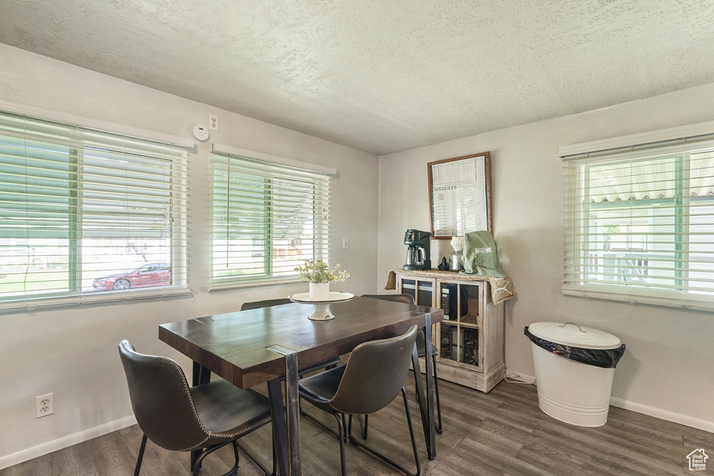 Dining room featuring wood finished floors, plenty of natural light, a textured ceiling, and baseboards