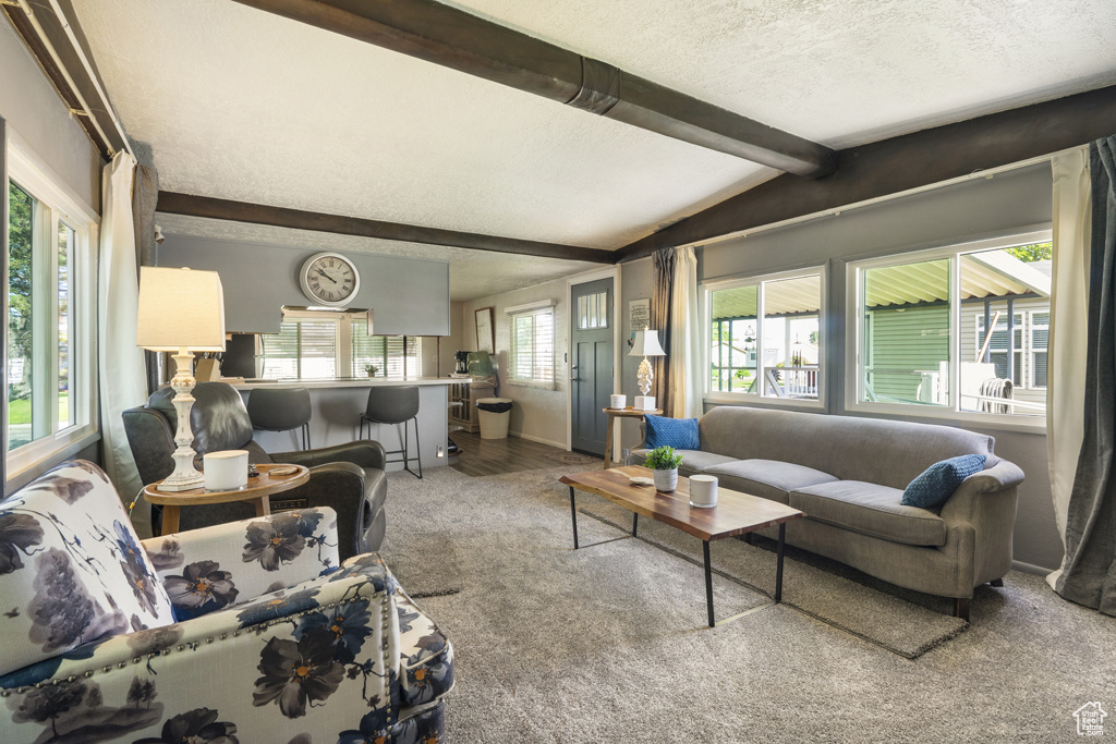 Living room with a textured ceiling