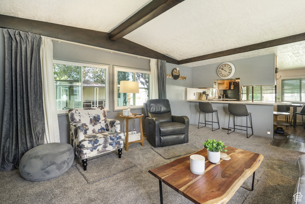 Carpeted living room with plenty of natural light