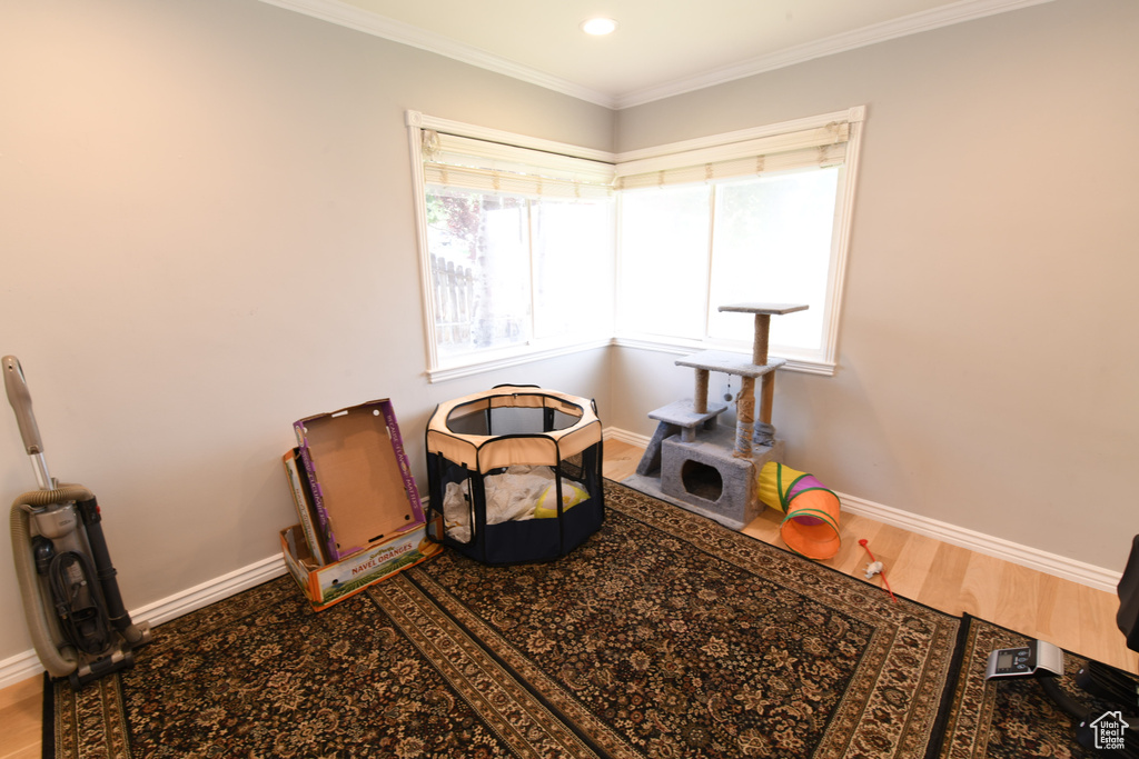 Misc room featuring wood finished floors, baseboards, crown molding, and recessed lighting
