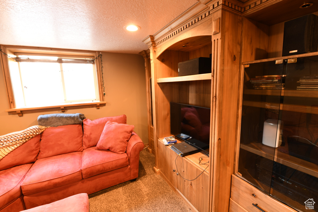 Living area featuring a textured ceiling, carpet, and recessed lighting