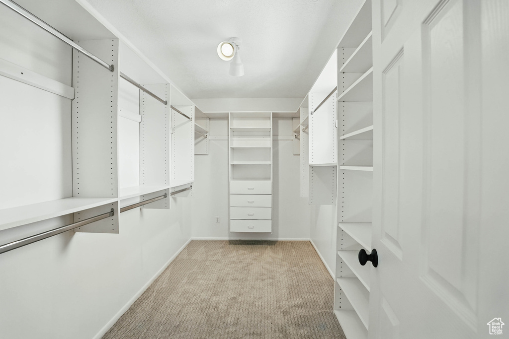 Spacious closet with carpet flooring