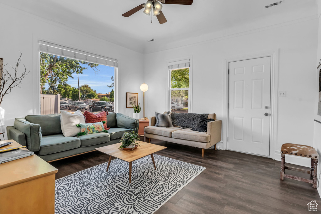 Living room with a ceiling fan and wood finished floors
