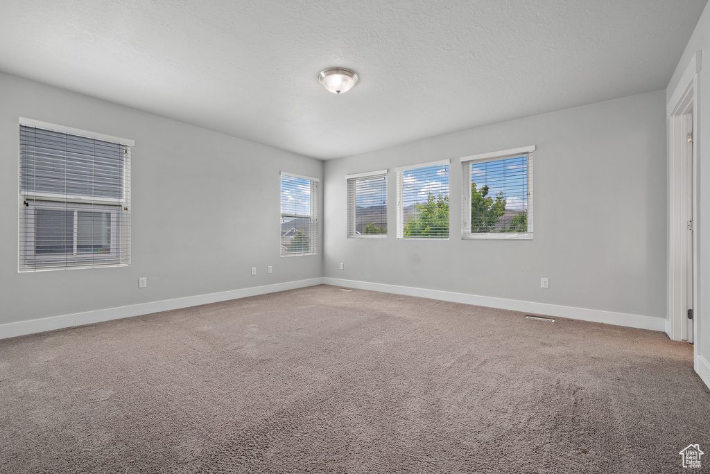 Spare room with healthy amount of natural light, baseboards, and carpet