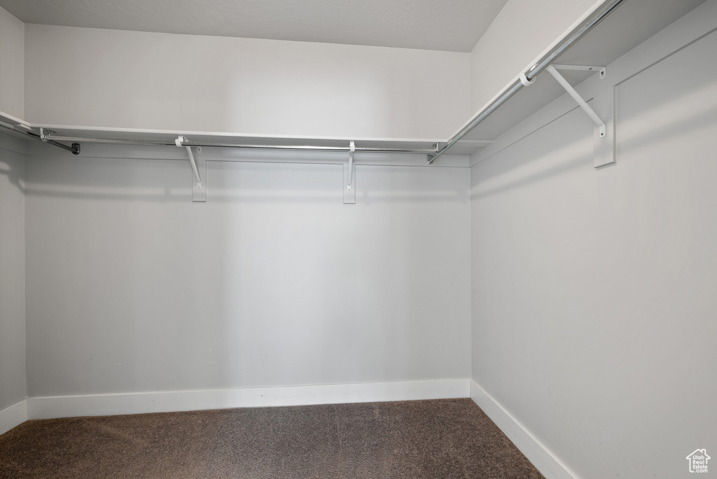 Spacious closet with carpet