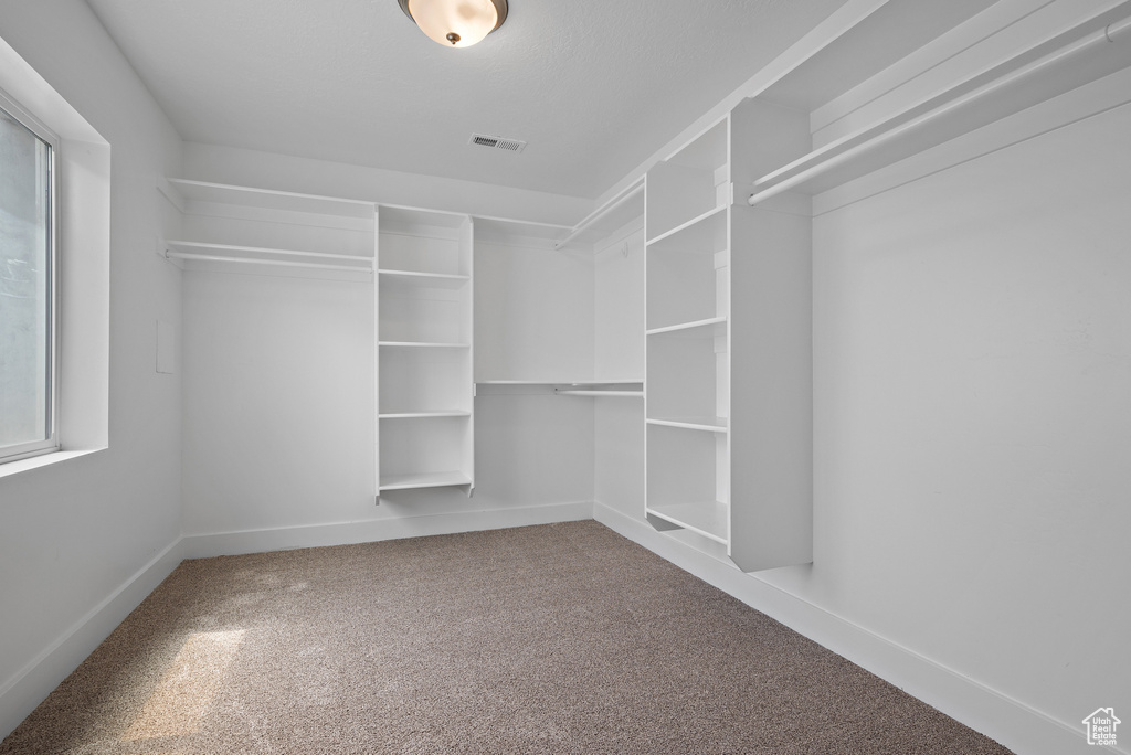 Walk in closet with carpet