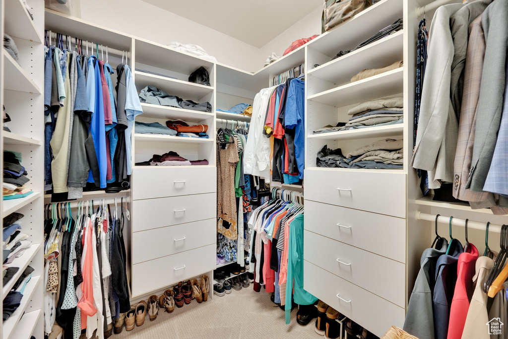 Spacious closet featuring carpet