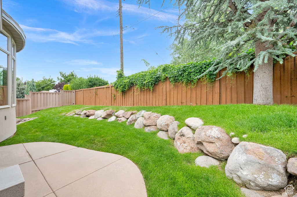 View of yard featuring a patio
