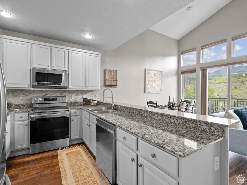 Kitchen featuring stainless steel appliances, a sink, a peninsula, recessed lighting, and dark wood finished floors