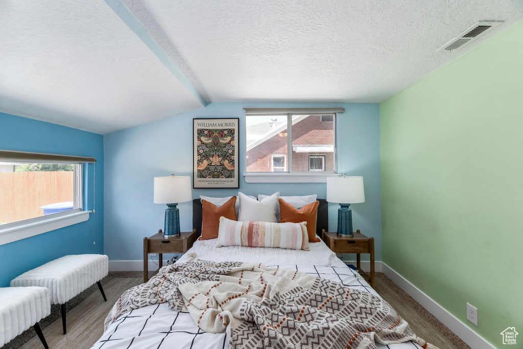 Bedroom with multiple windows, wood finished floors, a textured ceiling, baseboards, and lofted ceiling