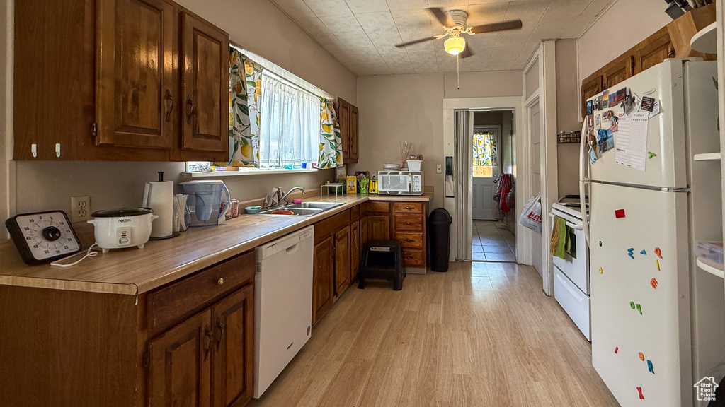 Kitchen with white appliances, a sink, light wood-style flooring, a ceiling fan, and light countertops