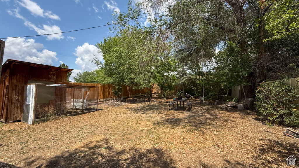 View of yard