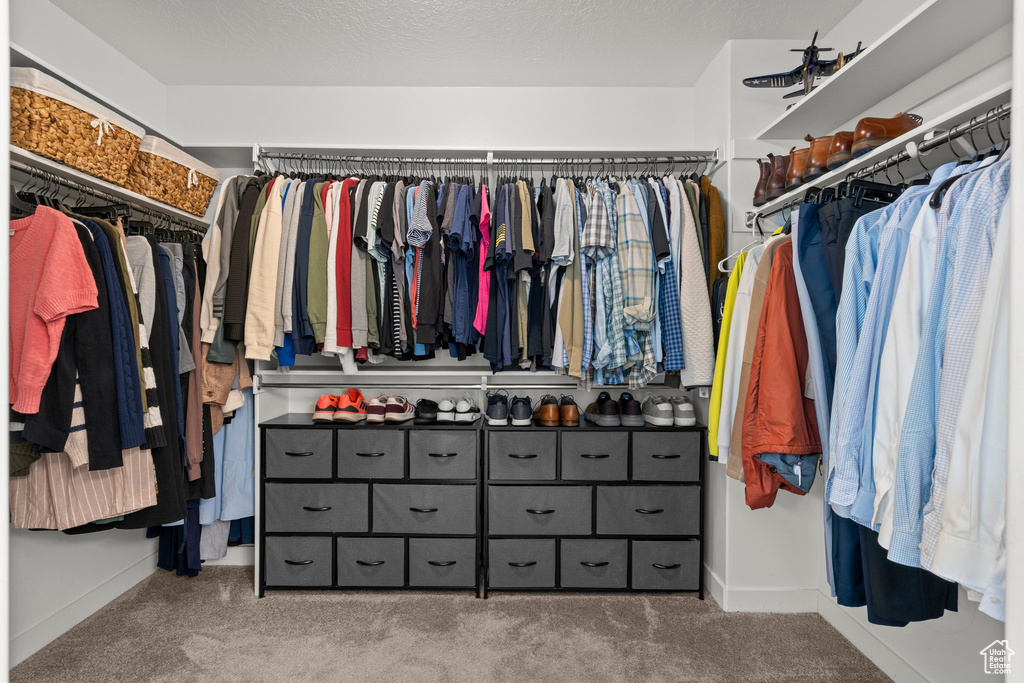 Spacious closet with carpet