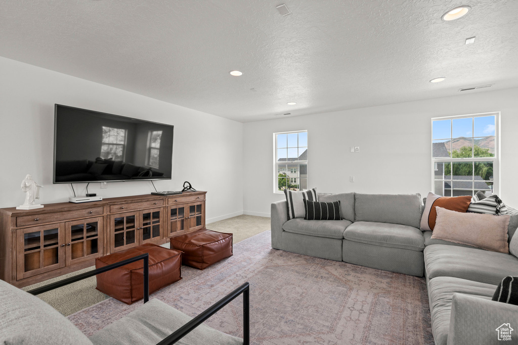 Living room with recessed lighting and a textured ceiling