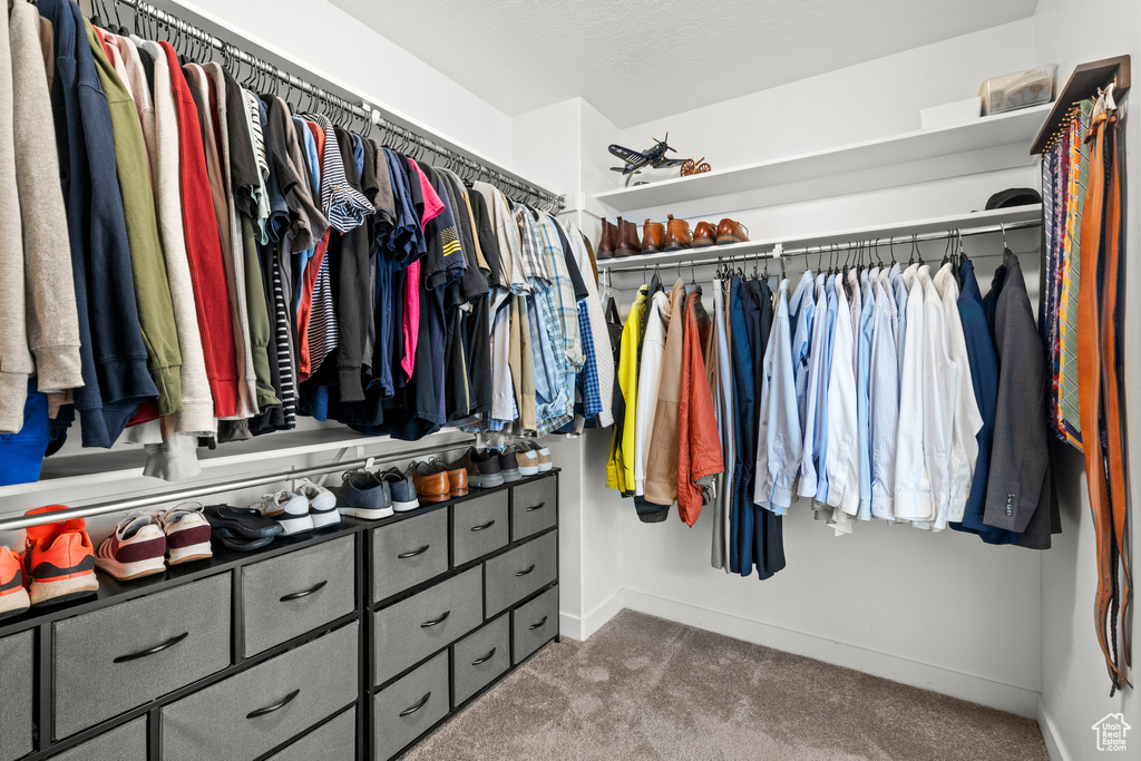 Spacious closet with carpet