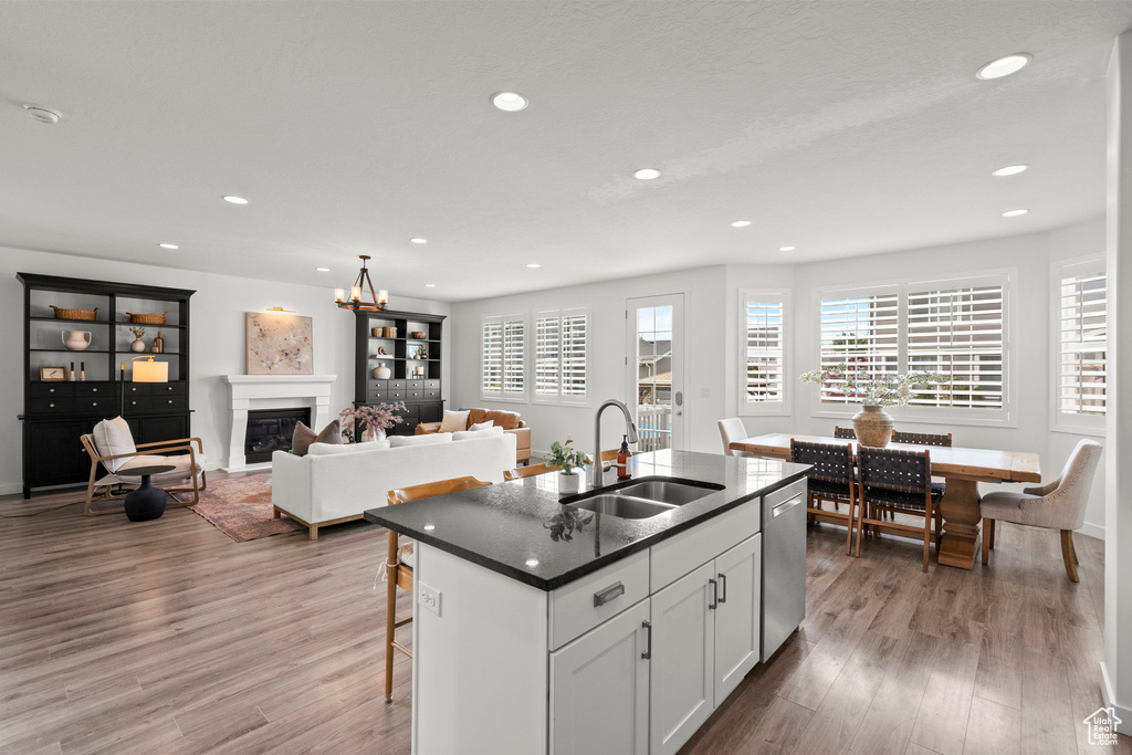 Kitchen with a sink, dishwasher, recessed lighting, a glass covered fireplace, and wood finished floors