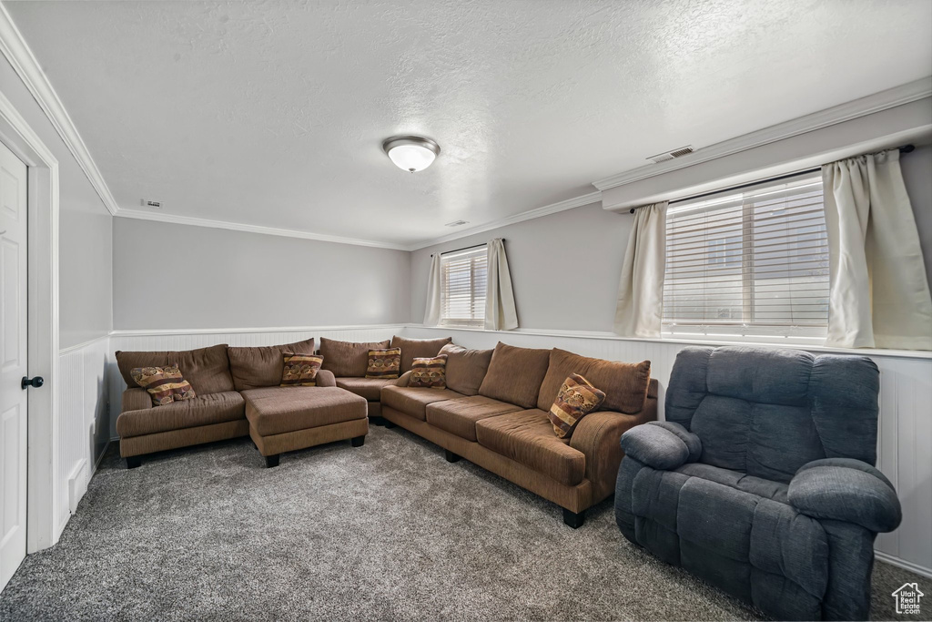 Living area with carpet floors, crown molding, a textured ceiling, and a wainscoted wall