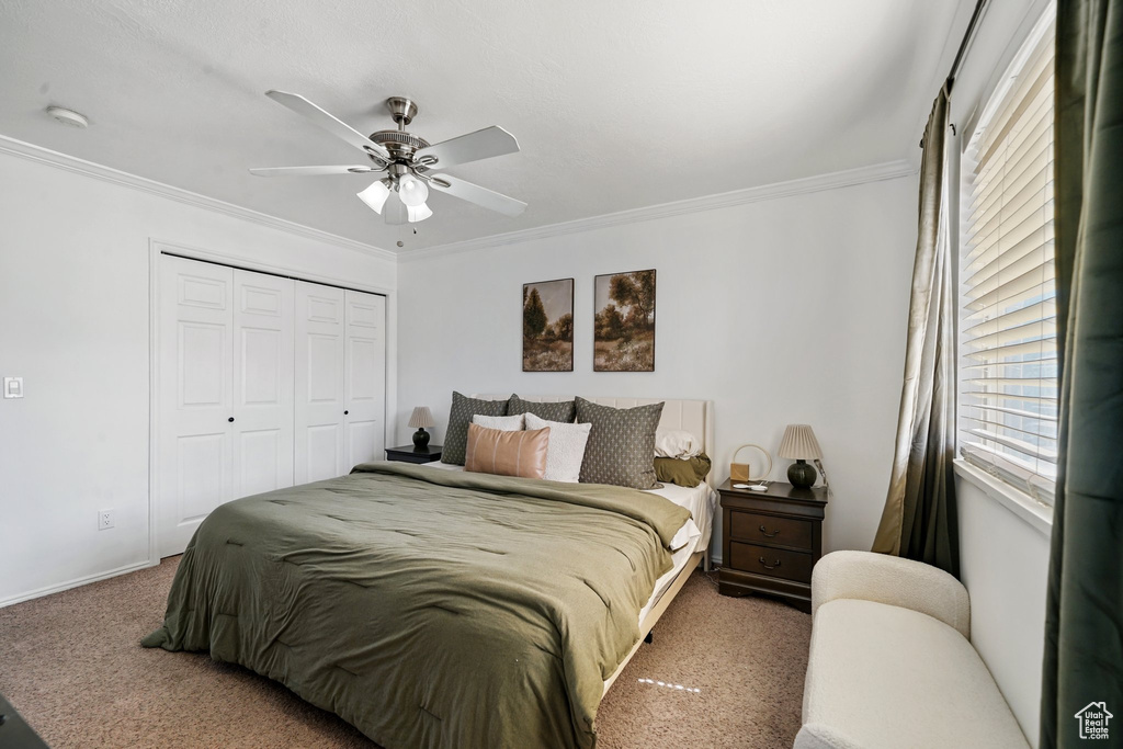 Bedroom with carpet flooring, multiple windows, ornamental molding, a closet, and ceiling fan