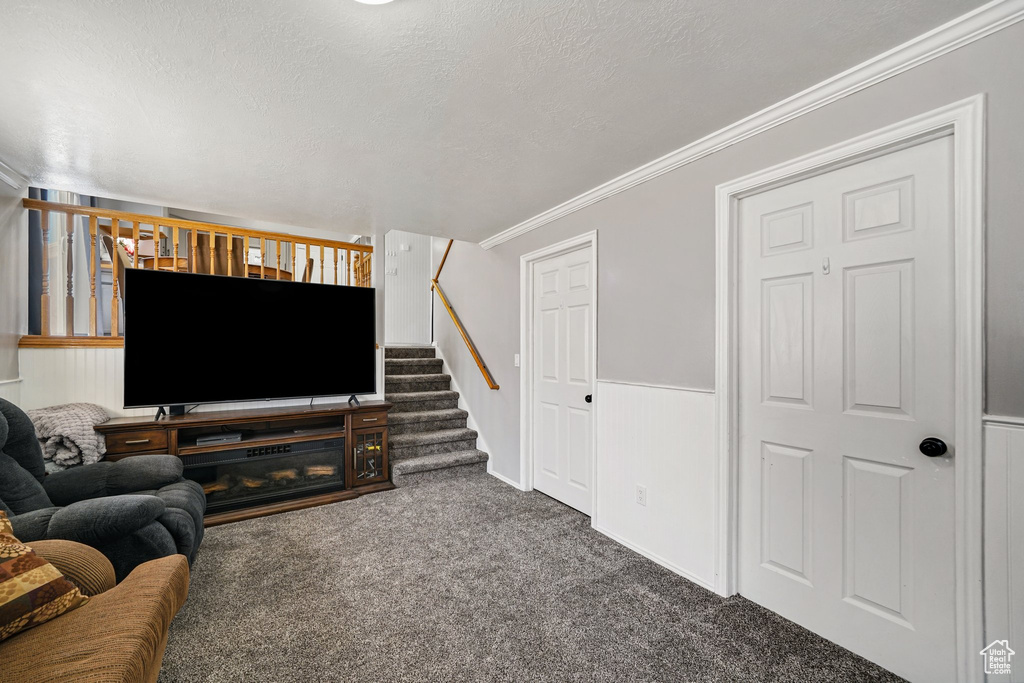 Carpeted living room featuring stairway, crown molding, and wainscoting