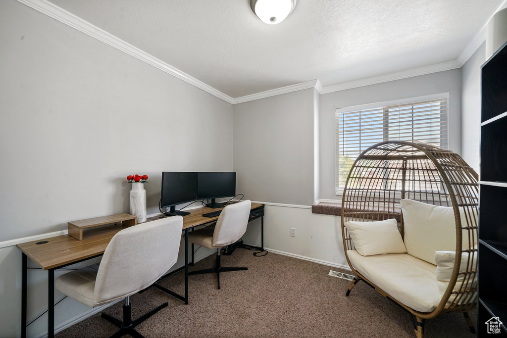Carpeted home office featuring ornamental molding and baseboards