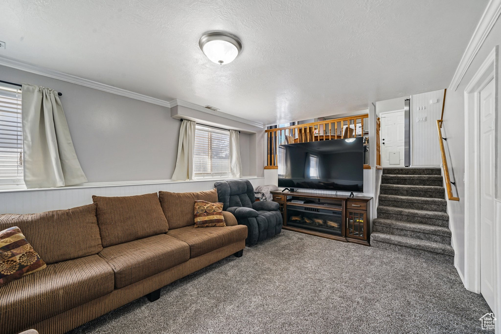Carpeted living room with ornamental molding, stairs, and a textured ceiling