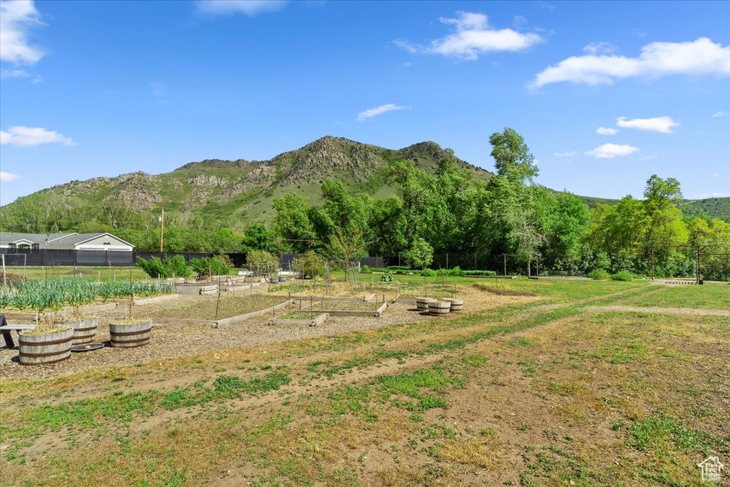 View of mountain background with rural landscape