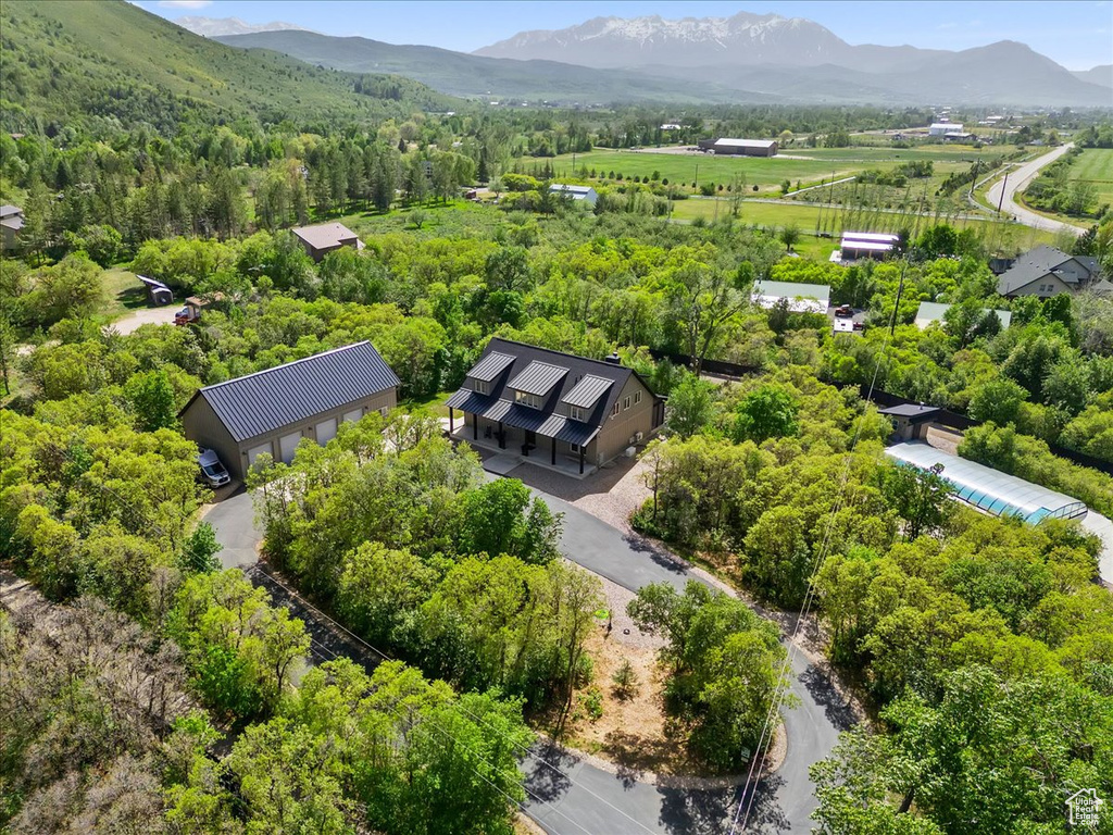 Drone / aerial view of a mountainous background and a heavily wooded area