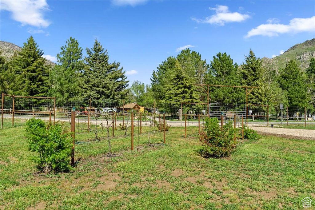 View of yard featuring a mountain view