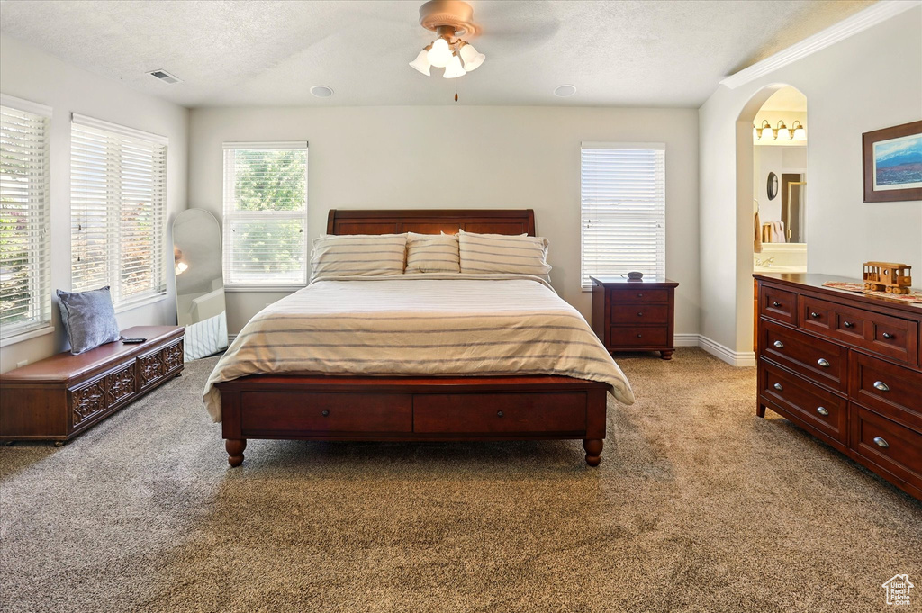 Bedroom with light colored carpet, arched walkways, ensuite bathroom, baseboards, and a textured ceiling