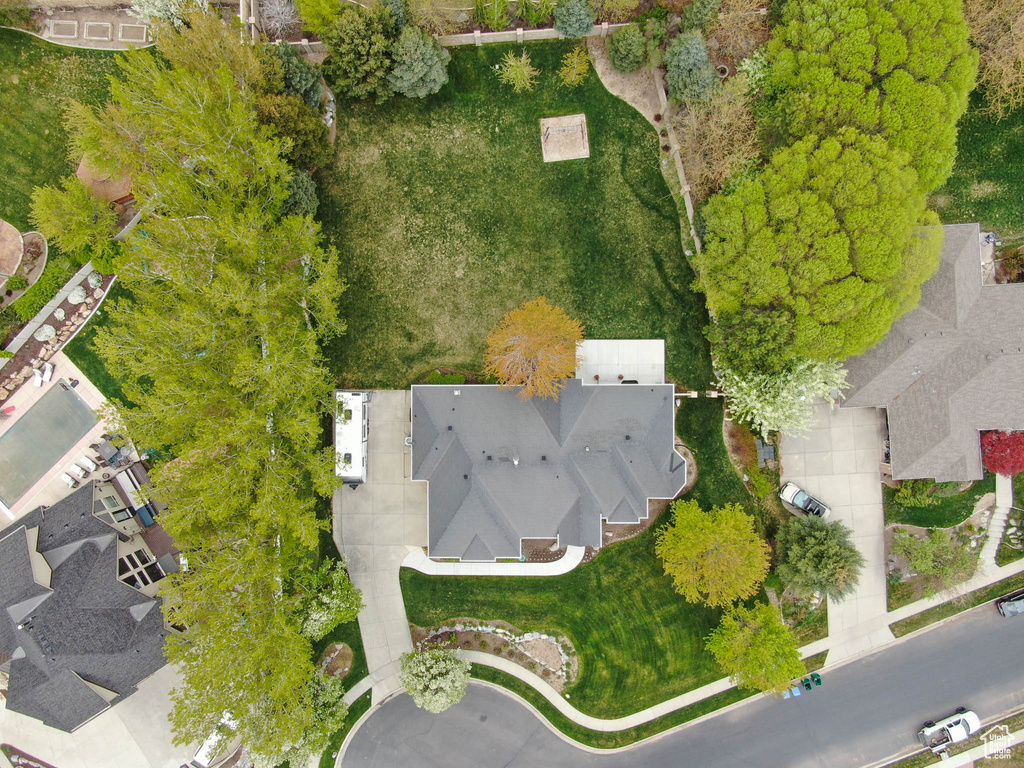 Bird\'s eye view
