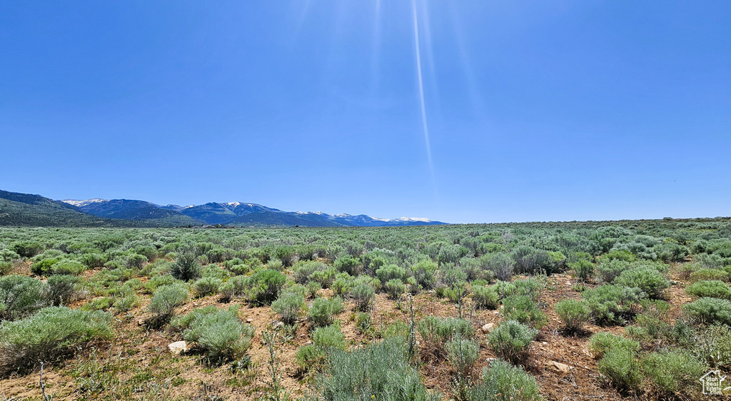 View of mountain background