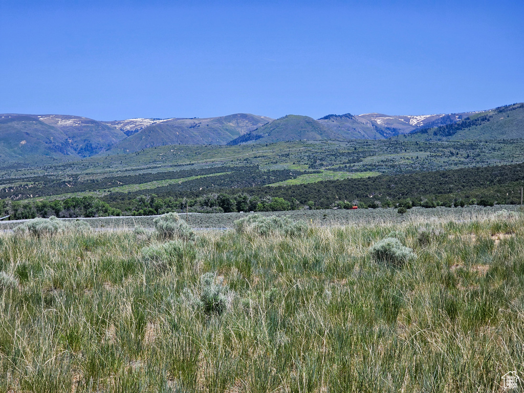 Mountain view