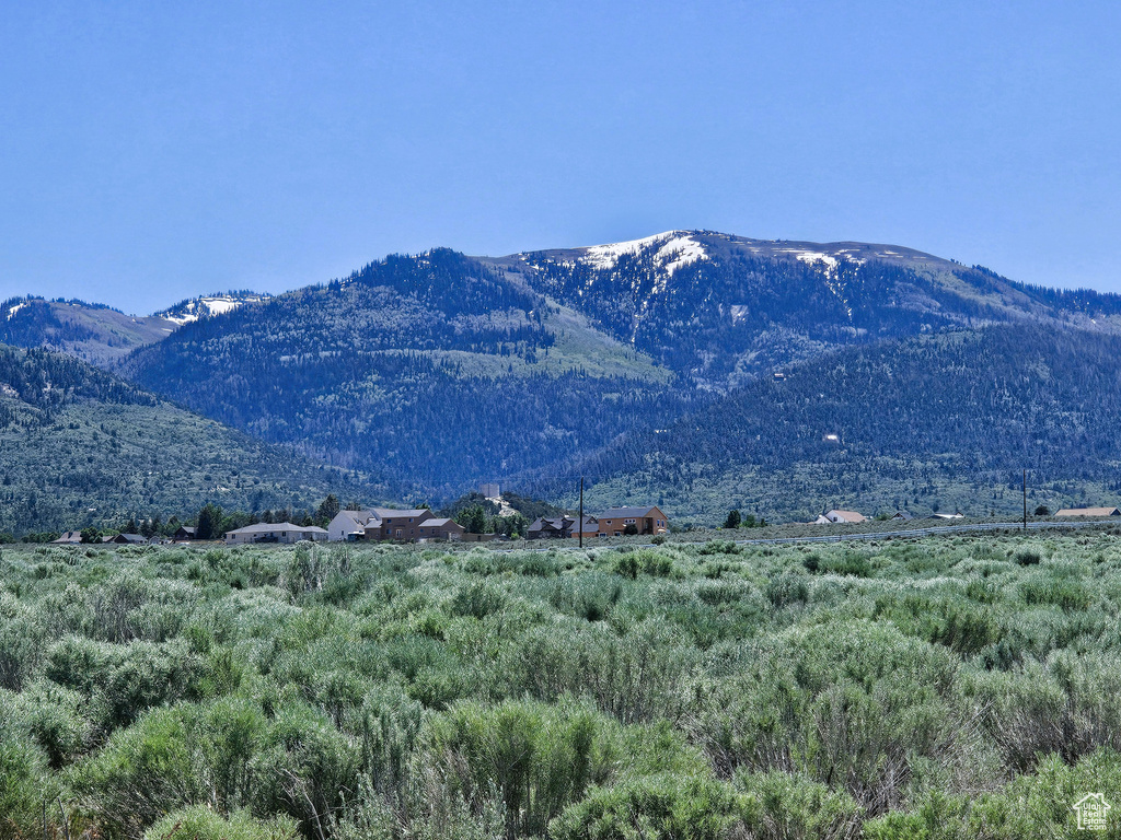 Mountain view