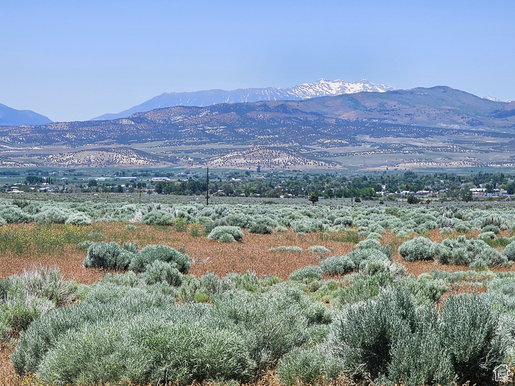 Mountain view