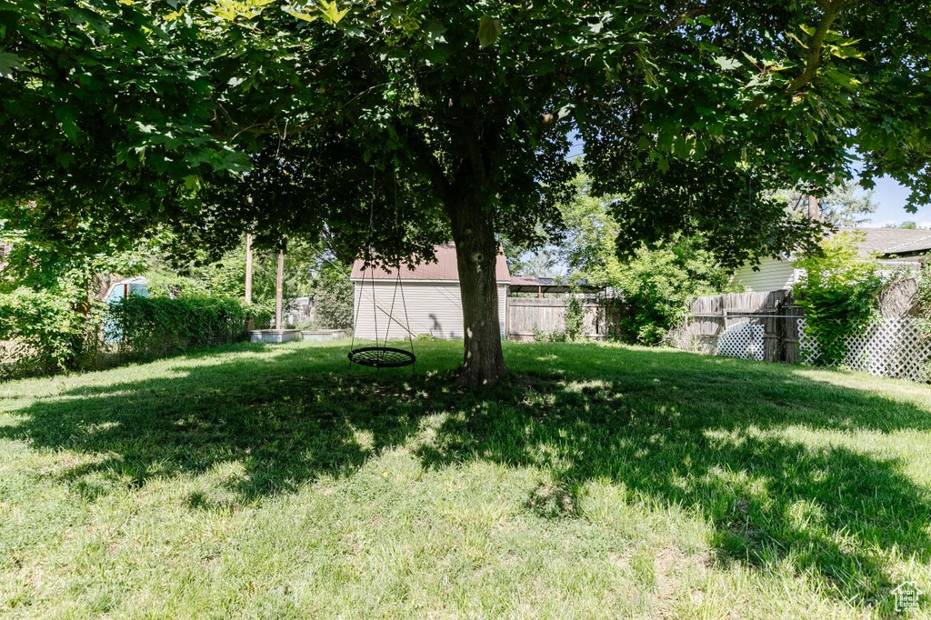 View of yard