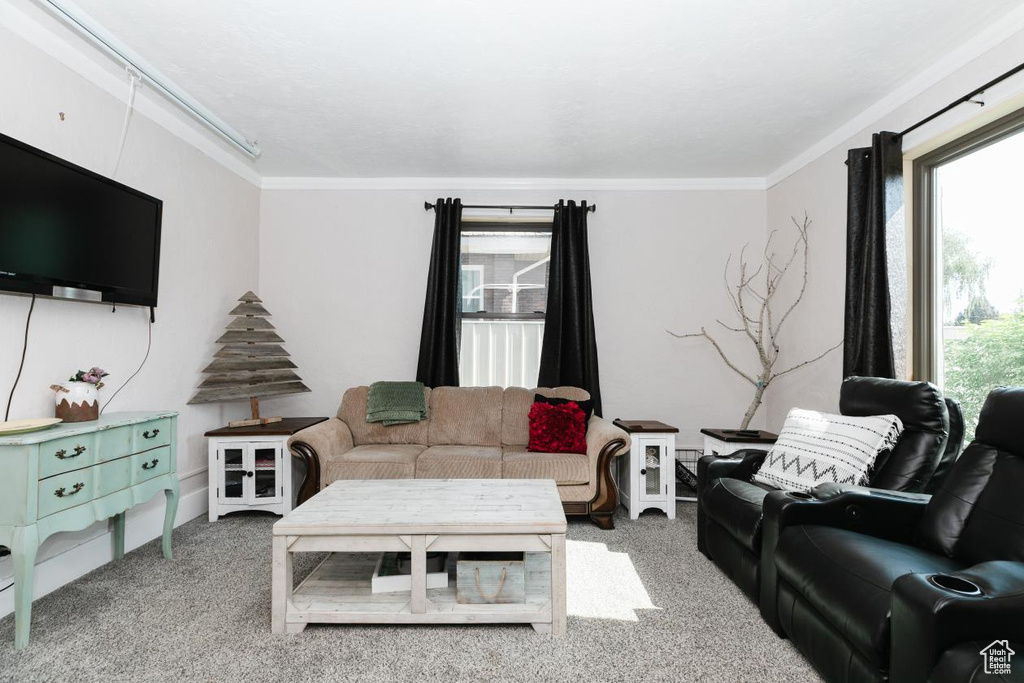 Carpeted living room featuring ornamental molding