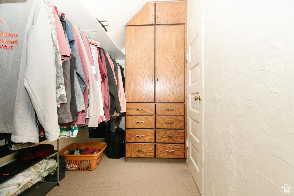 Spacious closet featuring light colored carpet