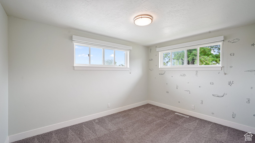 Carpeted empty room with baseboards and a textured ceiling